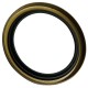 Camshaft Seal - Hendrickson Intraax